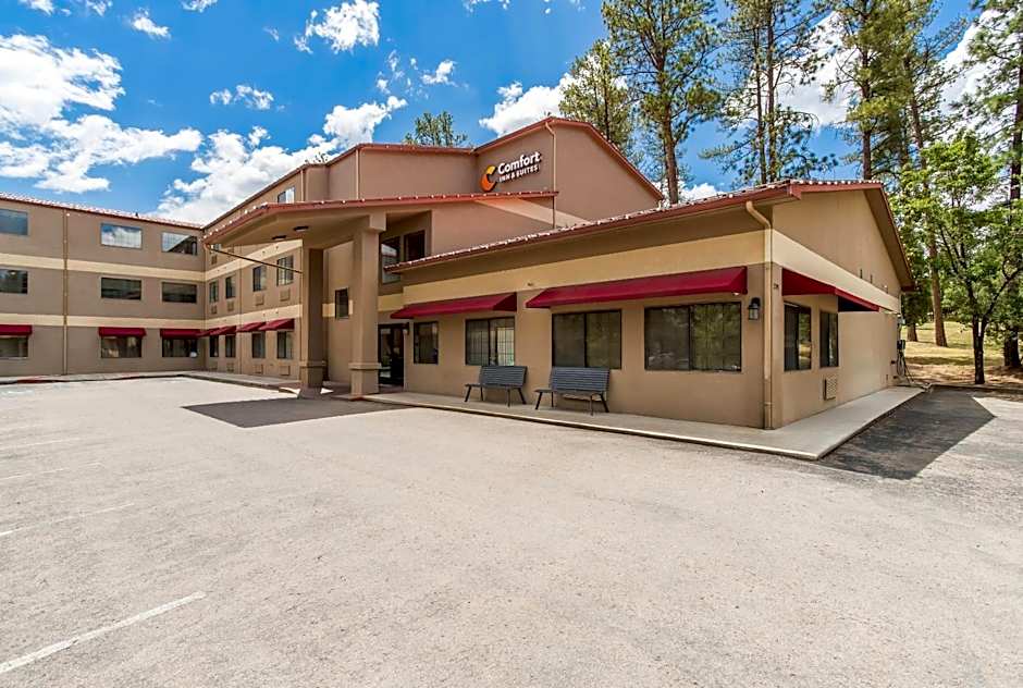 Comfort Inn & Suites Midtown