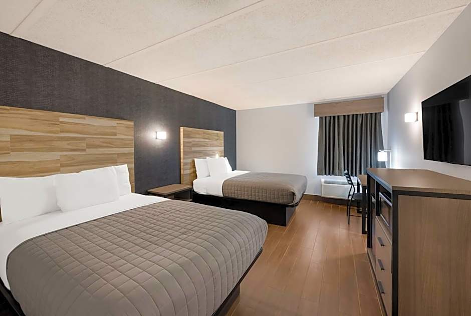 Essence Express Wayne