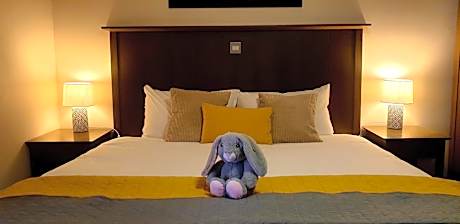 King Guest Room Plus