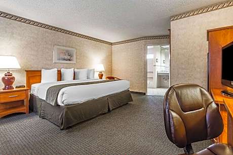 King Room - Disability Access/Non-Smoking