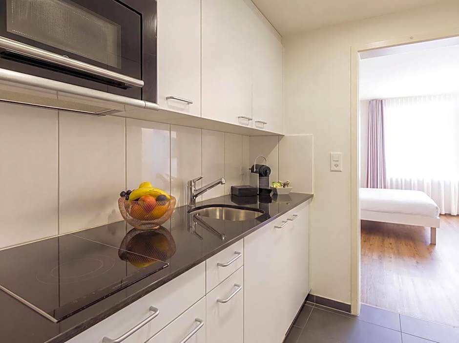 Apartmenthaus zum Trillen Basel City Center