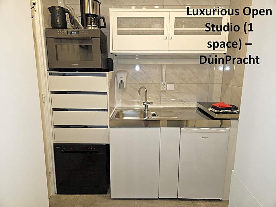 DuinVliet - Zandvoort Dunes & Free Parking