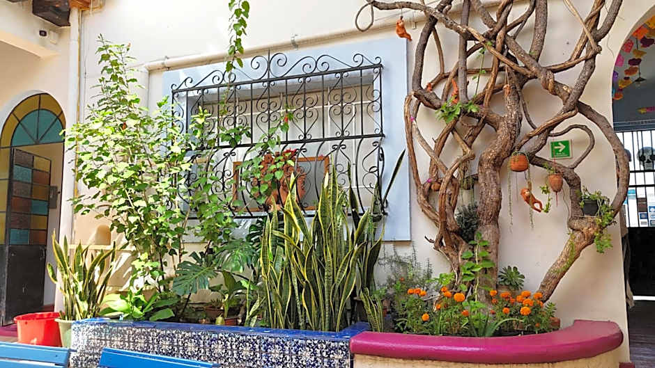 El Diablo y la Sandia B&B