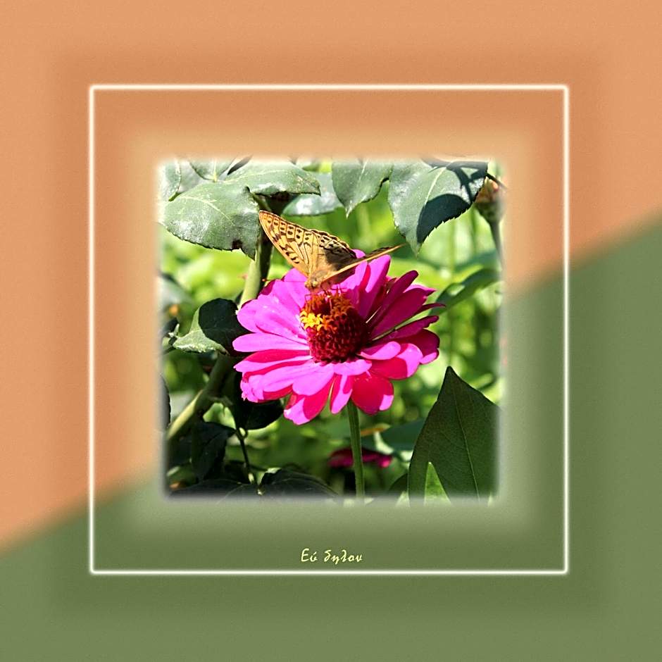 Ikaria Utopia - Cusco Studios