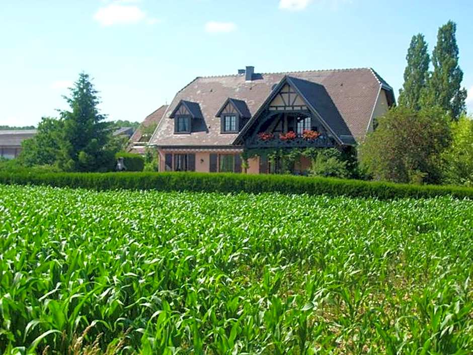 Appartement charmant à Hochfelden - 100 m² et parking gratuit