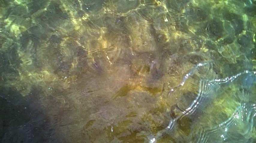 Villa Dei Principi Hotel