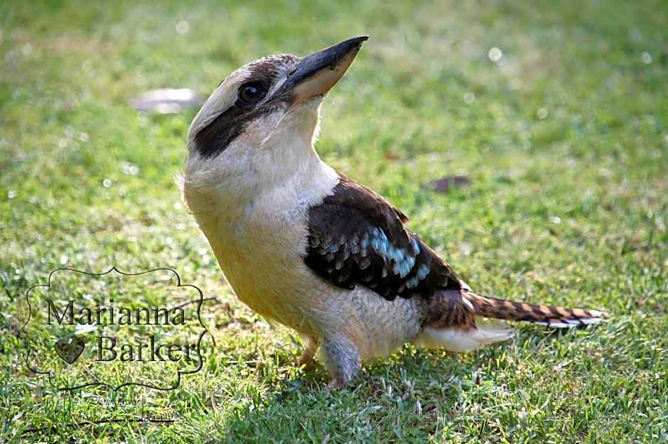 Glenview Retreat Luxury Accommodation