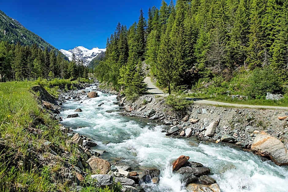 Bellevue Hotel & SPA