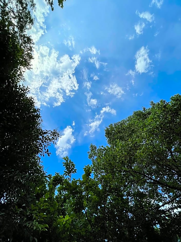 Les nuits de Cassiopée