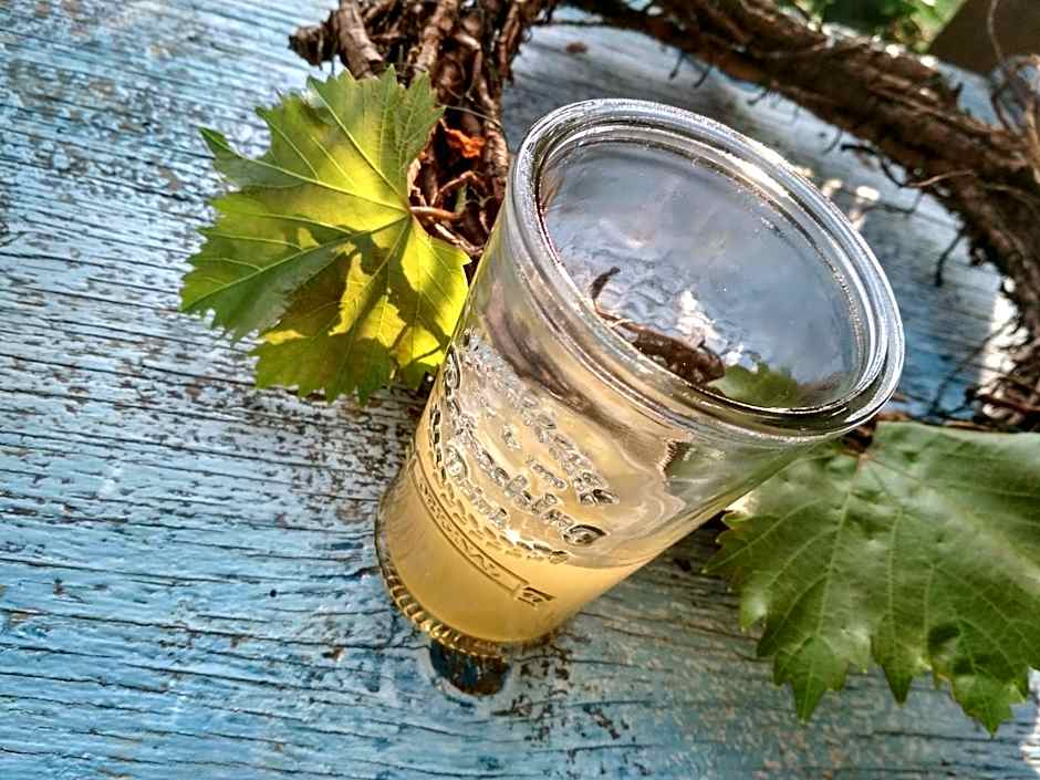 Apartmány s klimatizací - Penzion U Kudláčků Pouzdřany