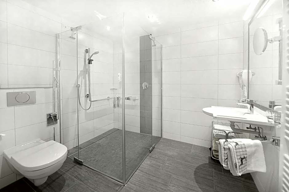 Hotel Alpina Superior