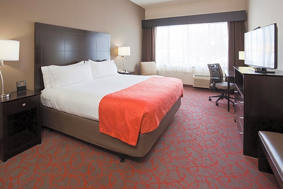 Photo 1 of 3 of Executive 1 King Bed with Sofabed Suite