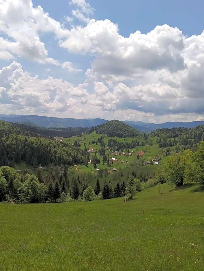 Cabana Colț De Munte