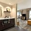 Hampton Inn By Hilton and Suites Roanoke-Downtown, VA