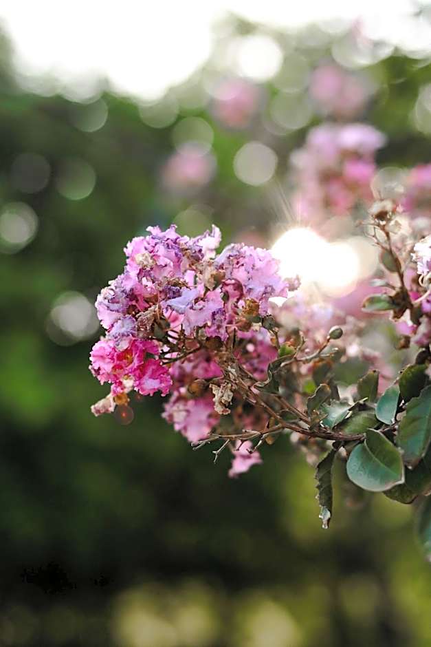 El Pedregal - Hotel en la Naturaleza