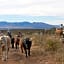 Tombstone Monument Guest Ranch