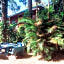 Golden Triangle Palace Hotel