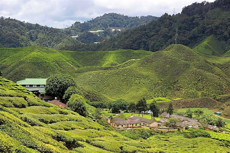 My Home @ Golden Hills Apartment