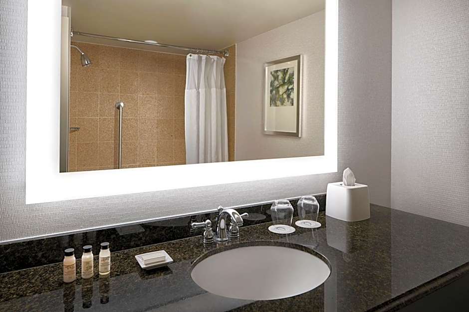 Delta Hotels by Marriott Chesapeake Norfolk