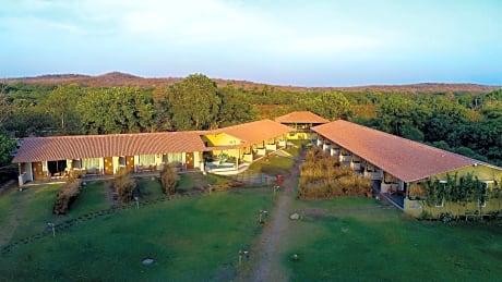 Asiatic Lion Lodge