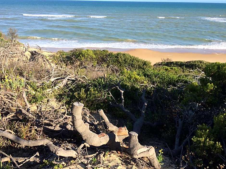 Paradise on The Boulevard - 90 Mile Beach Holiday Home