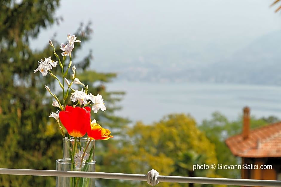 Lake Como Peace Lodge - Casa della Pace