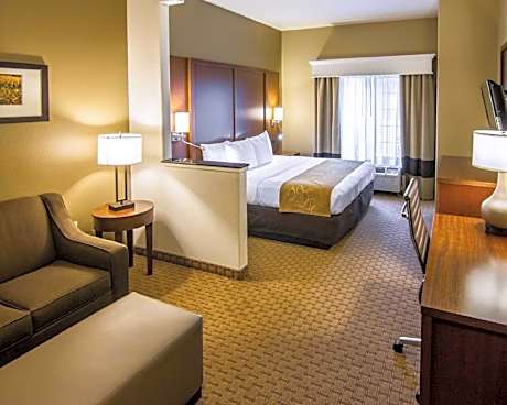 1 King Bed, Suite, Nonsmoking