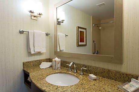1 King Mobility/Hearing Accessible W/ Bathtub