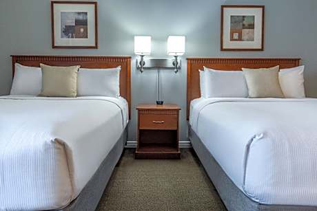 Two Queen Bed Suite