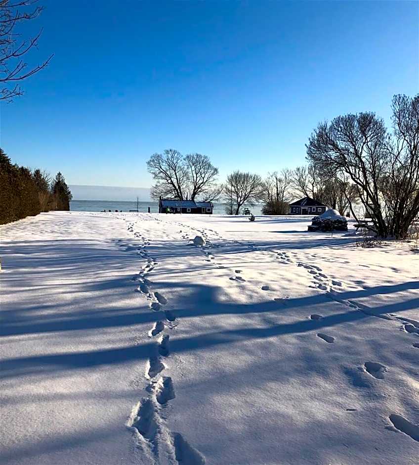 Wind & Waves - Wellington waterfront with Satellite TV & fire pit