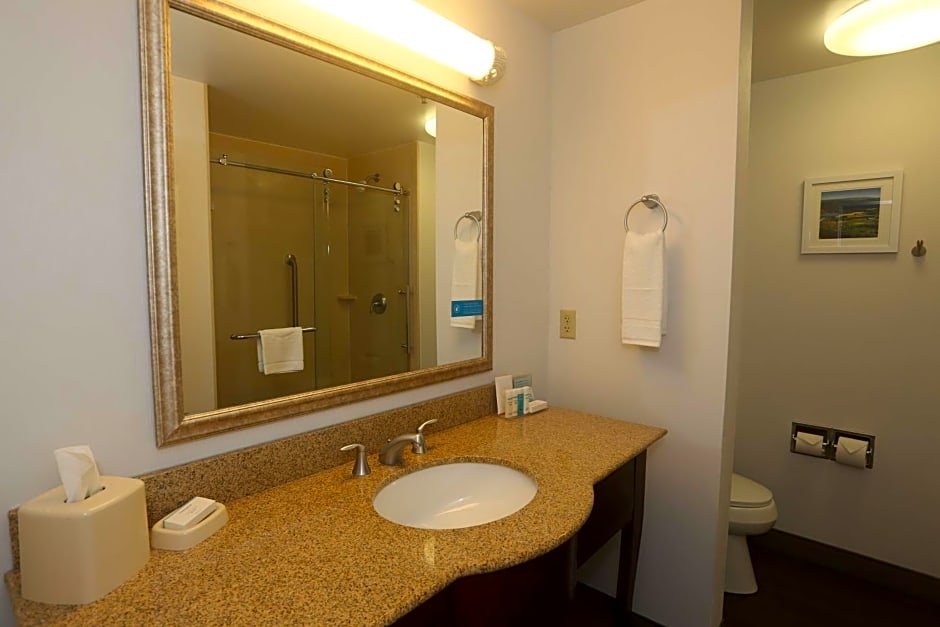 Hampton Inn By Hilton Owego NY