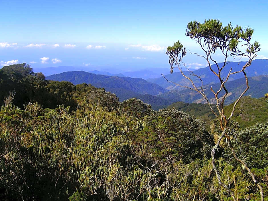 Dantica Cloud Forest Lodge