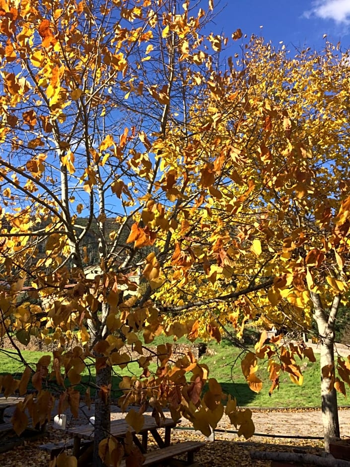 Mountainhome Casa Cancelinha