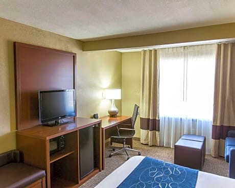1 King Bed, Suite, Nonsmoking, Accessible