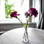 Zagreb City Vibe Apartments & Rooms