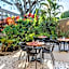 Holiday Inn San Jose La Sabana by IHG