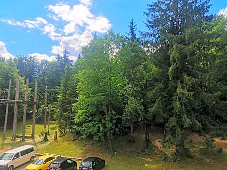 Standard Single Room with Shared Bathroom