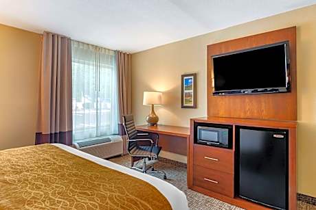 1 King Bed, Nonsmoking, Accessible