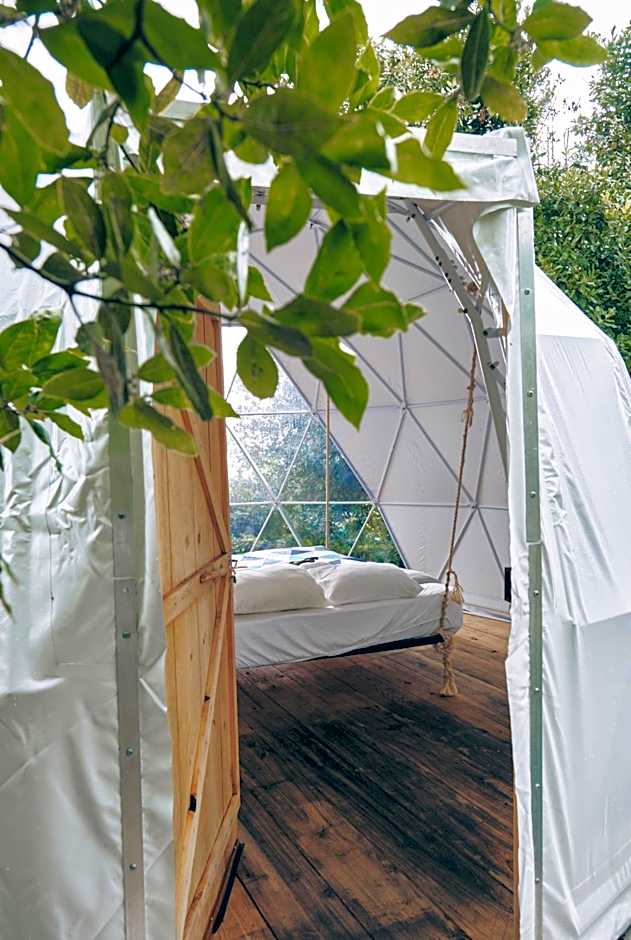 Quinta do Abacate - Glamping Park