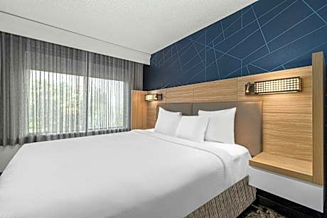 Suite, 1 King, Sofa bed, Whirlpool