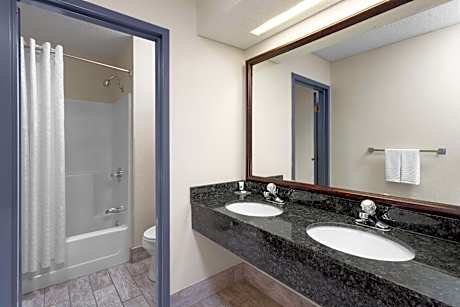 1 King Bed Deluxe Studio Suite Non-Smoking