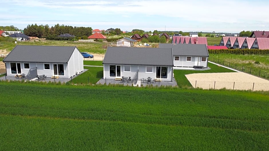 Szara Gąska w Gąskach