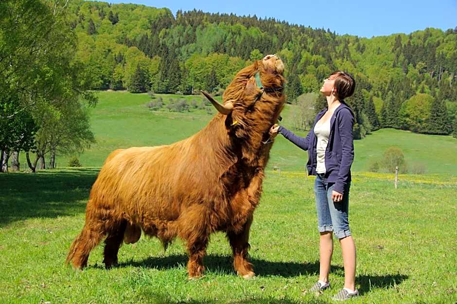 Hotel Schieferhof - GlasLUST