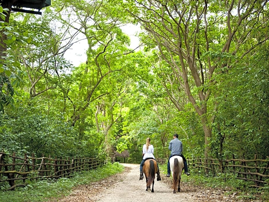 Casa Bonita Tropical Lodge