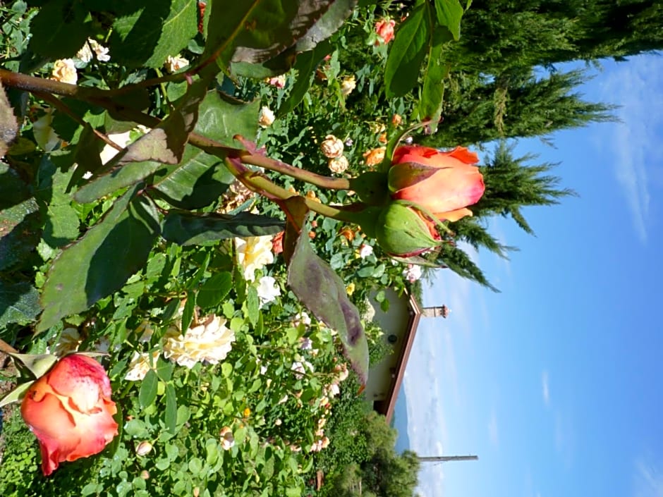 B&B The Roses Garden