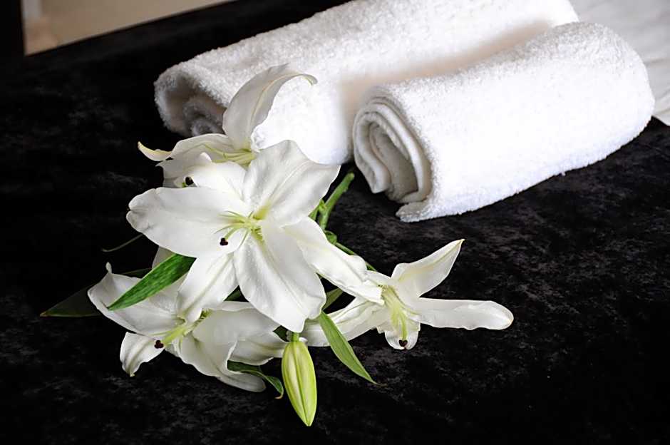 Green Hotel Budapest