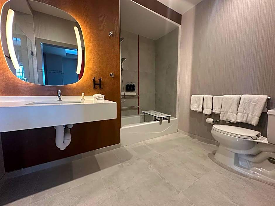 Hotel Indigo Baton Rouge Downtown By IHG