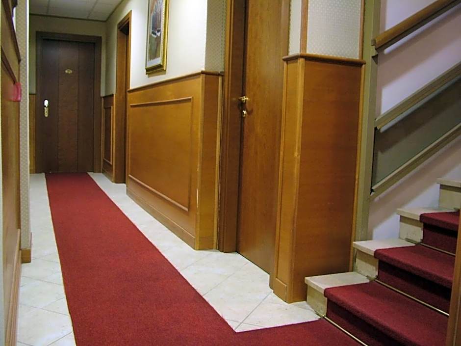 Hotel Shasa