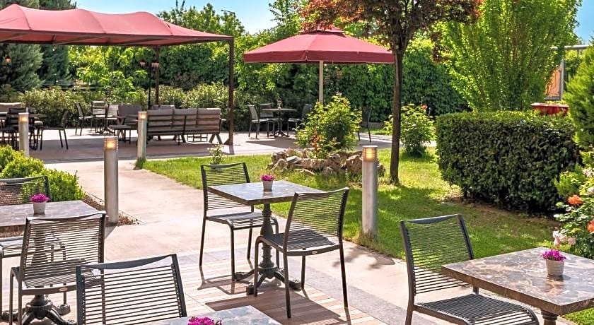 Ibis Bursa