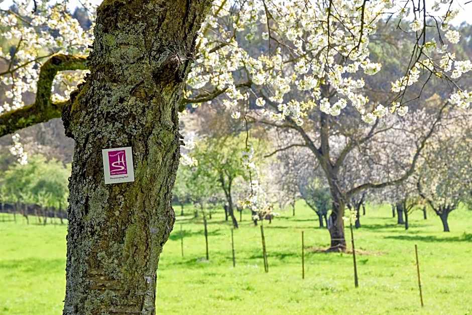 Landhotel Saar-Mosel